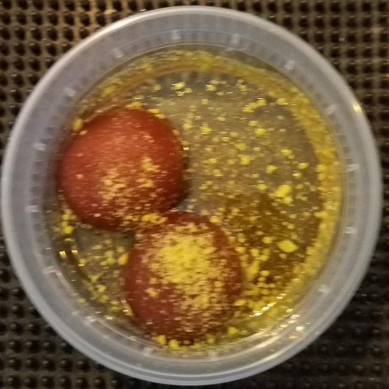 Indulge in Delicious Gulab Jamun and More